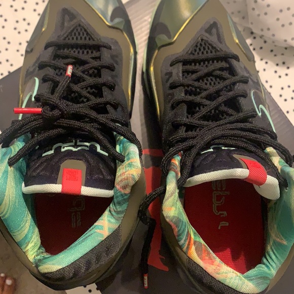 Lebron 11s Kings Pride - Picture 3 of 3